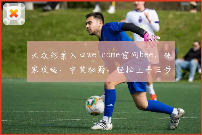 大众彩票入口welcome官网bee，独家攻略，中奖秘籍，轻松上手三步曲