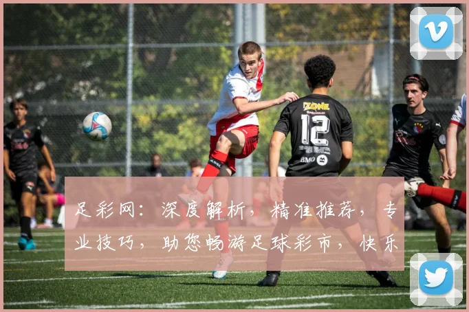 足彩网：深度解析，精准推荐，专业技巧，助您畅游足球彩市，快乐赢球